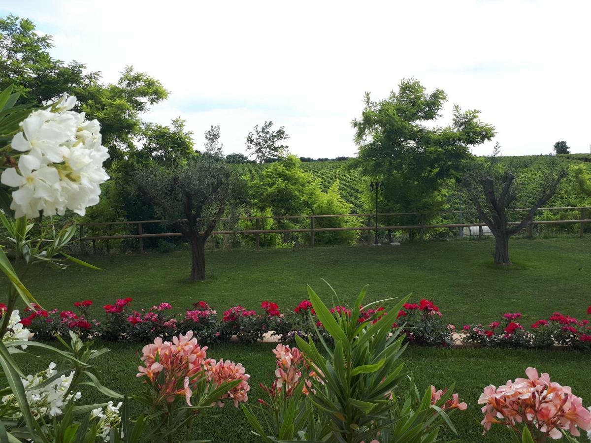 Villa Poggio Bardolino Ngoại thất bức ảnh